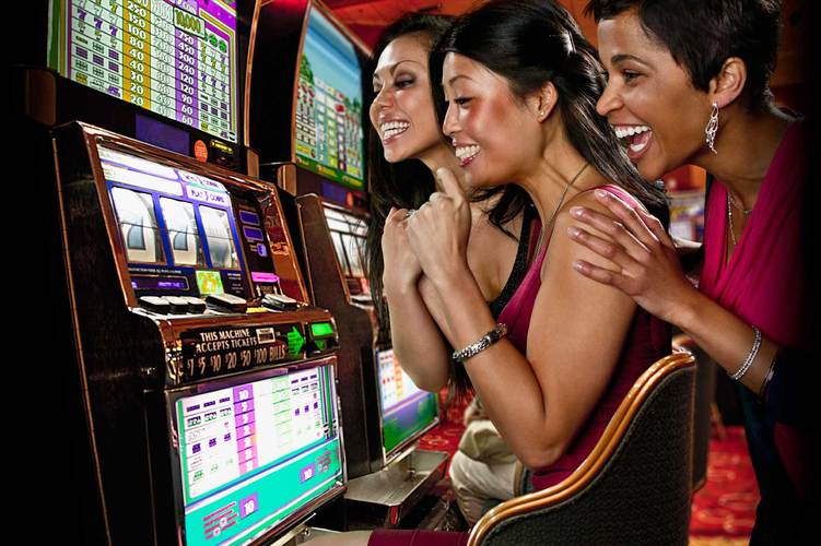 php 365 online casino login	